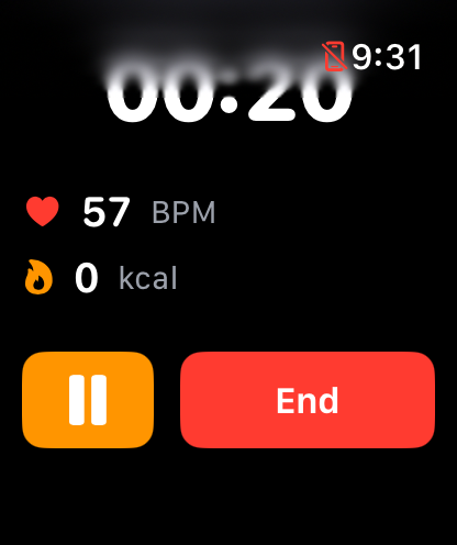Saunavuoro Apple Watch session screen